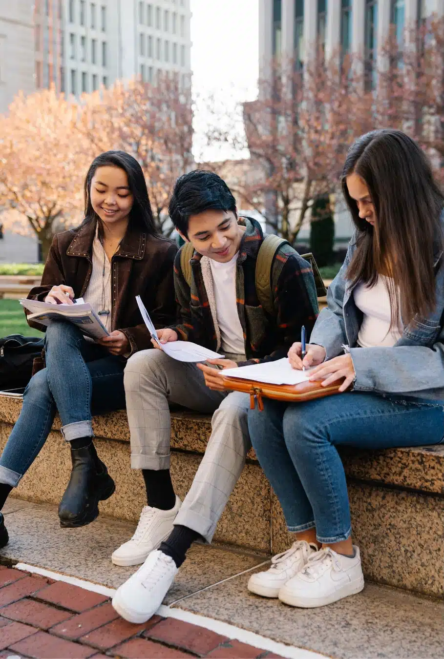 students studying together outdoor